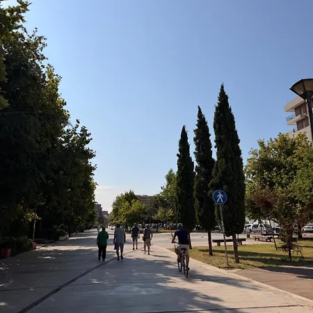 Elegant In * Tirana